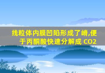 线粒体内膜凹陷形成了嵴,便于丙酮酸快速分解成 CO2